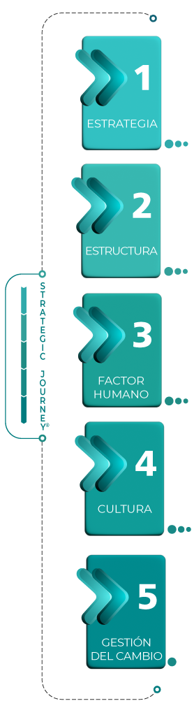 Infografía Strategic Journey®